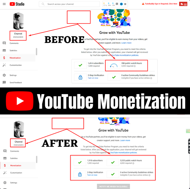 Monetization — 350 → 5,333 Public Watch Hours — YouTube Monetization result screenshot