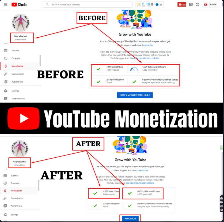 Monetization — 1,309 → 4,453 Public Watch Hours — YouTube Monetization result screenshot