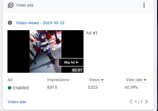 YouTube Video Ads — 60.39% View Rate — Google Ads result screenshot